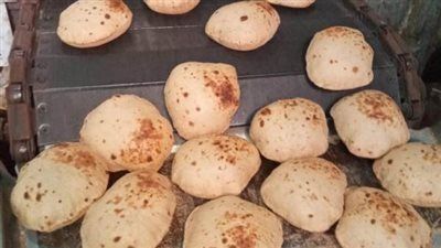 خلال يومين.. تحرير 224 محضر تمويني وضبط 6 طن أعلاف مجهولة المصدر بالمنوفية - الخليج الان