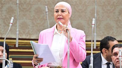 أمل سلامة: دخول المساعدات لغزة انتصار لدبلوماسية مصر وحكمة الرئيس السيسي - الخليج الان