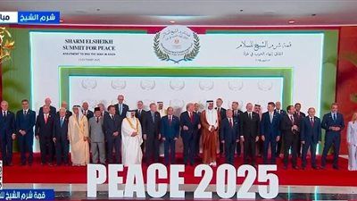 نواب: قمة شرم الشيخ نقطة تحول تاريخية في مسار عملية السلام.. وتؤكد المكانة المحورية لمصر كصانع سلام رئيسي - الخليج الان