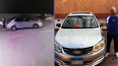 ضبط قائد سيارة وضع طعام مسمم للكلاب الضالة بالشوارع بمنطقة حدائق الأهرام بالجيزة - الخليج الان