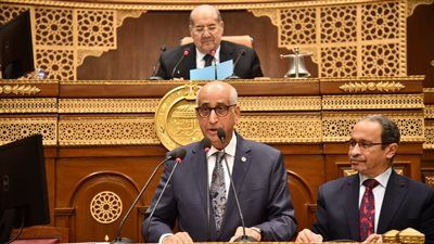 حسانين توفيق: قمة شرم الشيخ تجسد الدور القيادي للرئيس السيسي في ترسيخ السلام بالمنطقة - الخليج الان