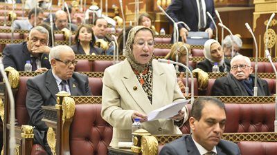 النائبة حياة خطاب: التاريخ سيقف طويلاً أمام الدور الوطني للرئيس السيسي في إنهاء حرب غزة - الخليج الان