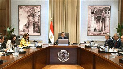 رئيس الوزراء يتابع الموقف التنفيذي لأعمال تطوير ورفع كفاءة بحيرة البردويل - الخليج الان