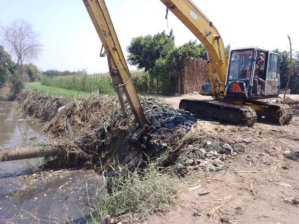 الإصلاح الزراعي.. إزالة 144 حالة تعدٍ وإطلاق منافذ غذائية متنقلة بأسعار مخفضة - الخليج الان