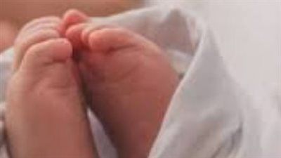 عرسة تنهي حياة رضيعة بسوهاج - الخليج الان