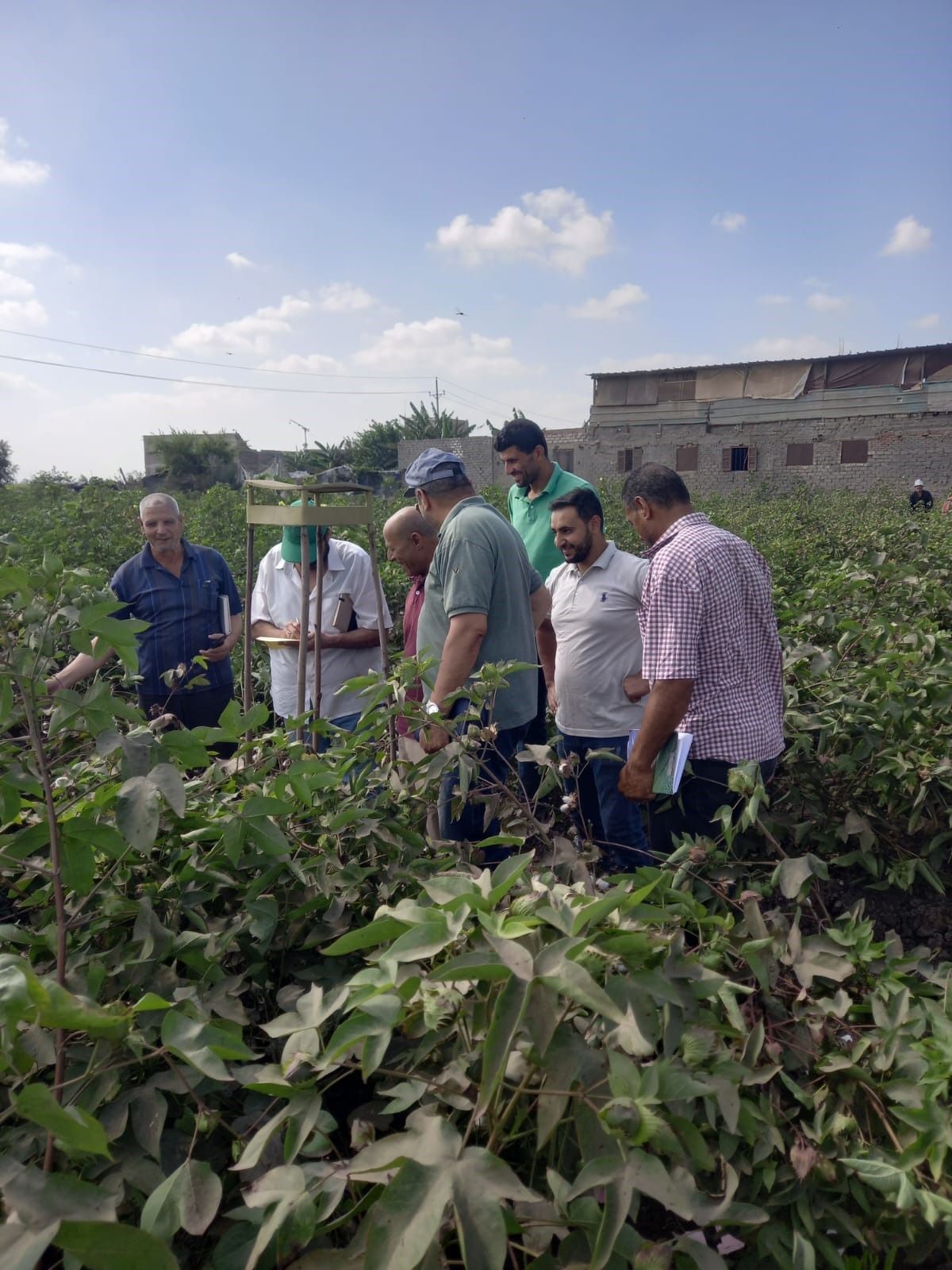 الإصلاح الزراعي.. إزالة 144 حالة تعدٍ وإطلاق منافذ غذائية متنقلة بأسعار مخفضة - الخليج الان