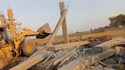 الإصلاح الزراعي.. إزالة 144 حالة تعدٍ وإطلاق منافذ غذائية متنقلة بأسعار مخفضة - الخليج الان