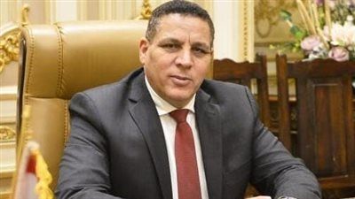 أحمد محسن: فوز مصر بعضوية مجلس حقوق الإنسان الدولي تتويج لثقة العالم في مسارها الحقوقي والإصلاحي - الخليج الان