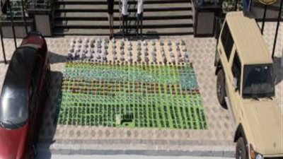 مصرع 3 عناصر خلال تبادل إطلاق النار مع الأجهزة الأمنية - الخليج الان