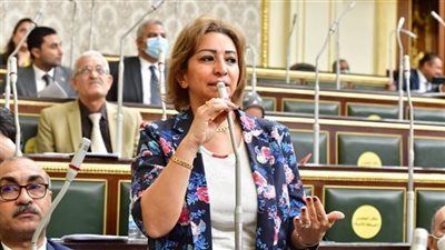 قانون الإجراءات الجنائية.. النائبة مها عبدالناصر للحكومة: انتم ماشيين بشكل غير مفهوم وأرفض التحقيق مع المتهم بدون محامي - الخليج الان