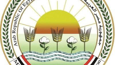 «الزراعة» تنتهي من فحص تقاوي البطاطس لـ «العروة الشتوية التصديرية» بكمية تتجاوز 320 ألف طن - الخليج الان