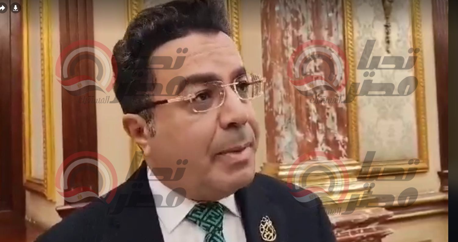 النائب باسل عادي: أتواجد في مجلس الشيوخ من أجل العمل الجاد وليس الظهور المشرف وسنقدم اعتراضاتنا على الكثير - الخليج الان