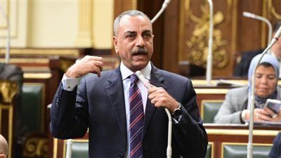 الطماوي: المادة 54 من الدستور لم تتطرق إلى الضرورة الإجرائية وهذا سبب الخلاف حول استجواب المتهم في المادة 105 من مشروع قانون الإجراءات الجنائية - الخليج الان