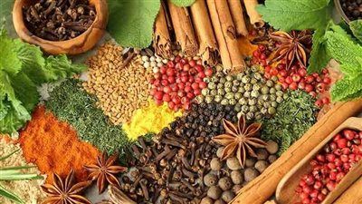 أفضل 9 أطعمة طبيعية لتخفيف الانتفاخ وتحسين الهضم - الخليج الان