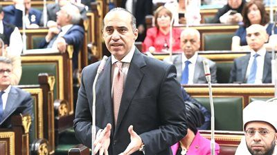 الوزير محمود فوزي بعد جدل المادة 105 من “الإجراءات الجنائية”: الرئيس والبرلمان لن يسمحا للحكومة بالمساس بالدستور - الخليج الان