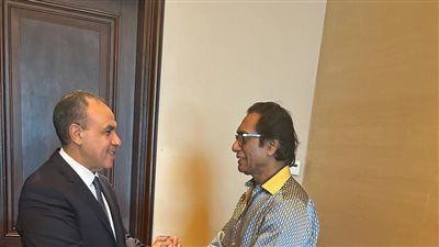 وزير الخارجية: حجم استثمارات شركة UFLEX الهندية في مصر يصل إلى أكثر من 350 مليون دولار - الخليج الان