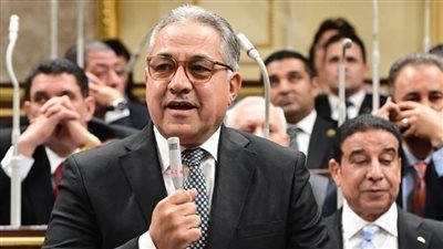 أحمد السجيني في رسالة وداع لمجلس النواب: 14 عامًا من العمل العام والإصلاح الهيكلي - الخليج الان