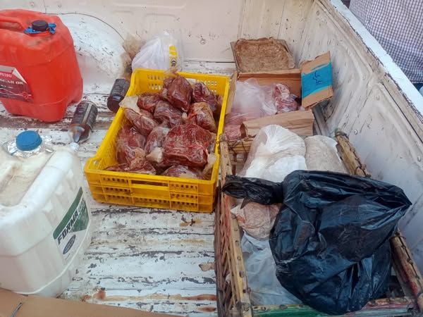 محافظ أسيوط: ضبط لحوم غير صالحة وتحرير 300 محضر تمويني خلال حملات مكثفة على المخابز والأسواق - الخليج الان