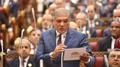 عفت السادات بعد أداء اليمين الدستورية: أجندتي خلال الشهور المقبلة التركيز على الملف الاقتصادي ودعم مسيرة التنمية - الخليج الان