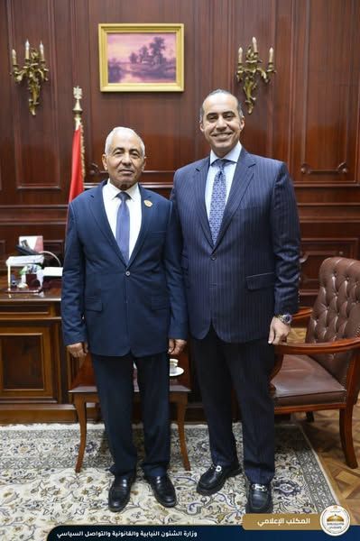 الوزير محمود فوزي يقدم التهنئة للمستشار عصام فريد رئيس مجلس الشيوخ والوكيلين - الخليج الان