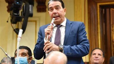 النائب أيمن أبو العلا: كلمة الرئيس السيسي في الندوة التثقيفية تحمل رسالة هامة - الخليج الان