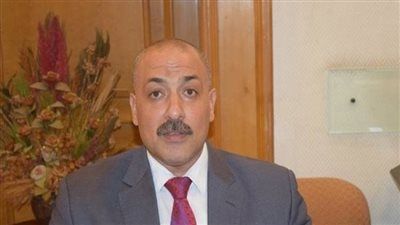 شعبة الخضروات: تأثير زيادة الوقود سيظهر في هذا التوقيت (تفاصيل) - الخليج الان