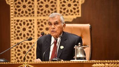 10 أحزاب فقط ممثلة.. الشيوخ يستعد لتشكيل اللجنة العامة لدور الانعقاد الأول - الخليج الان