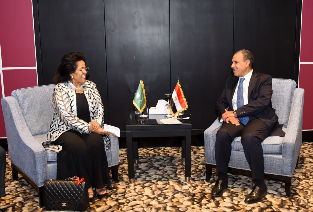 وزير الخارجية: يجب توسيع نطاق عمل وكالة النيباد في القارة لتحقيق فوائد ملموسة للشعوب الأفريقية - الخليج الان