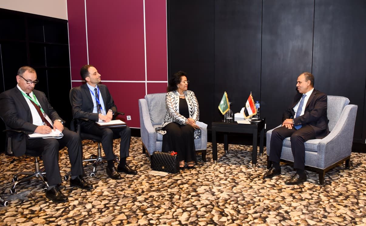 وزير الخارجية: يجب توسيع نطاق عمل وكالة النيباد في القارة لتحقيق فوائد ملموسة للشعوب الأفريقية - الخليج الان