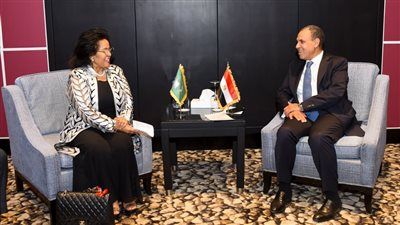 وزير الخارجية: يجب توسيع نطاق عمل وكالة النيباد في القارة لتحقيق فوائد ملموسة للشعوب الأفريقية - الخليج الان