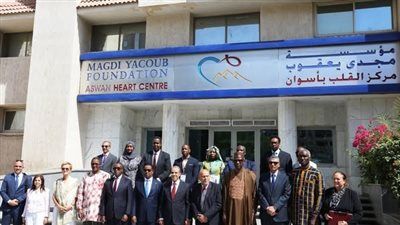 وزير الخارجية ومحافظ أسوان يزوران مركز مجدى يعقوب لجراحات القلب برفقة وفود منتدى أسوان للسلام - الخليج الان