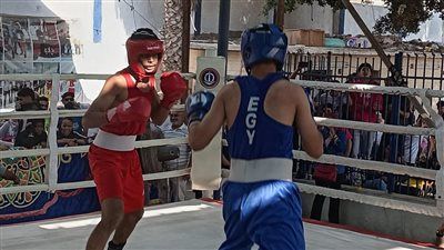 عقوبات قانونية في انتظار مدربي الملاكمة غير المقيدين بنقابة المهن الرياضية - الخليج الان