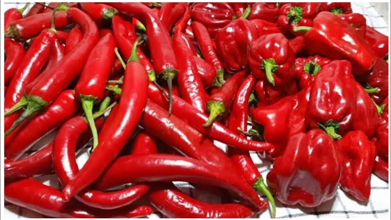 مشروب سحري بأربع أكواب يومياً.. العلماء يكشفون “تأثيراً خفياً” ضد الجلطات - الخليج الان