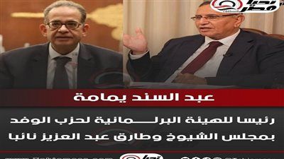 عبد السند يمامة رئيسا للهيئة البرلمانية لحزب الوفد بمجلس الشيوخ وطارق عبد العزيز نائبا - الخليج الان