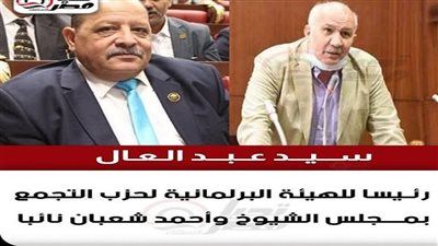سيد عبد العال رئيسا للهيئة البرلمانية لحزب التجمع بمجلس الشيوخ وأحمد شعبان نائبا - الخليج الان