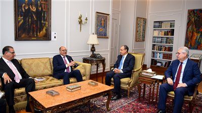 وزيرا الخارجية والعمل يناقشان الهجرة والعمالة المصرية بالخارج - الخليج الان