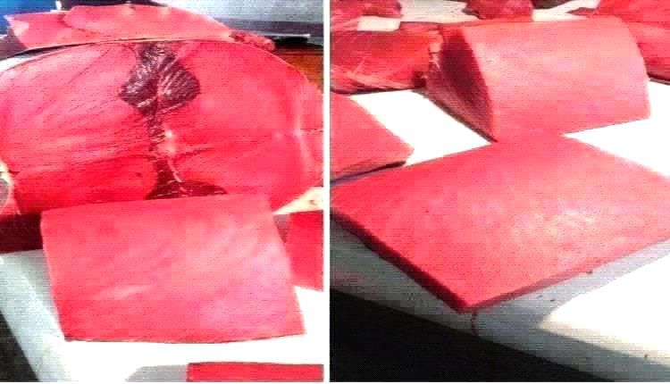 أسعار الأسماك اليوم الأحد فى عدن 26 اكتوبر 2025م