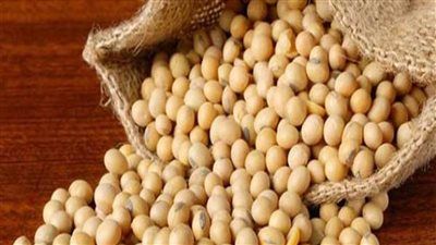 وزير الخزانة الأمريكي: الصين تتعهد بشراء كميات كبيرة من فول الصويا الأمريكي - الخليج الان