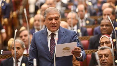 عفت السادات لتحيا مصر: دعم السياسة الخارجية والملف الاقتصادي وفرض السلام في المنطقة على رأس أولوياتي بلجنة العلاقات الخارجية بالشيوخ - الخليج الان