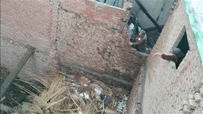 إصابة شخص في انفجار أنبوبة غاز بقرية ترسا في الفيوم - الخليج الان