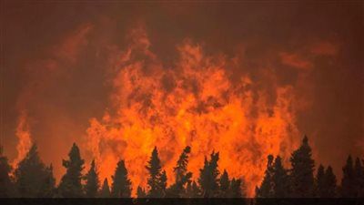 حرائق الغابات تلتهم مساحات ضخمة في نيو ساوث ويلز وسط تحذيرات متصاعدة - الخليج الان