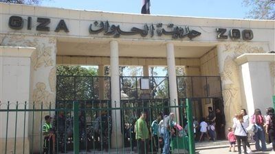 هل حديقة الحيوان مفتوحة الآن ؟.. اكتشف موعد افتتاح حديقة الحيوان الجديدة والتذاكر - الخليج الان