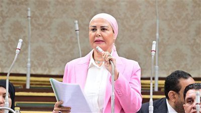 أمل سلامة: ادعاءات الاحتلال حول معبر رفح سقطت أمام الموقف المصري الواضح والثابت - الخليج الان