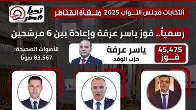بعد إلغاء الانتخابات: تغييرات كبيرة في نتيجة منشأة القناطر ومرشح "الوفد" يحصد المقعد بدلا من الإعادة - الخليج الان