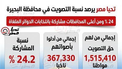 تليجراف الخليج يرصد المشهد الانتخابي وتفاوت نسب الإقبال بين دوائر المحافظة - الخليج الان