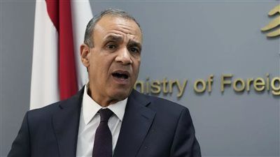 وزير الخارجية: مصر تدعم جهود حكومة مالي في مكافحة الإرهاب والتطرف وبسط الأمن والاستقرار - الخليج الان