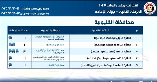 منافسة بين 16 مرشح على 8 مقاعد.. تليجراف الخليج يرصد جزلة الإعادة في انتخابات النواب بدوائر القليوبية - الخليج الان