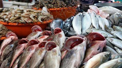 البلطي بكام النهارده؟.. اسعار السمك اليوم الثلاثاء 16 ديسمبر 2025 بالتفصيل - الخليج الان