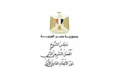 بين الردع والإنصاف.. تعديلات «الكهرباء» في الشيوخ تعيد ضبط ميزان العقوبة وتفتح باب التصالح - الخليج الان