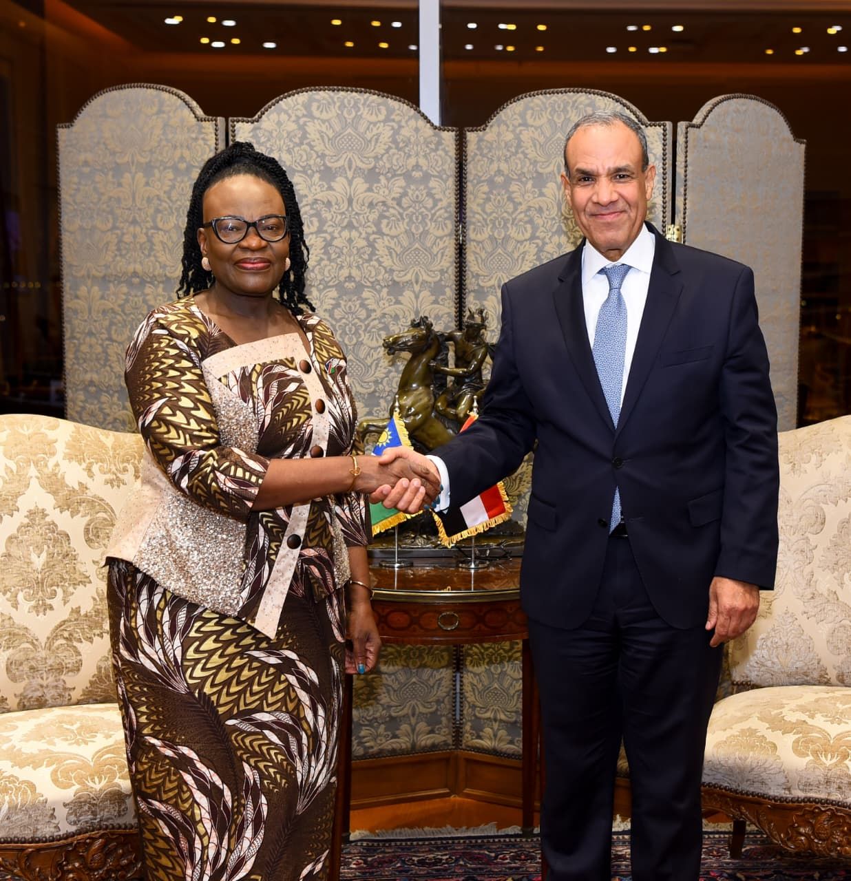 وزير الخارجية: نتطلع لزيادة صادرات الدواء إلى ناميبيا وتلبية احتياجاتها في قطاع الصحة - الخليج الان